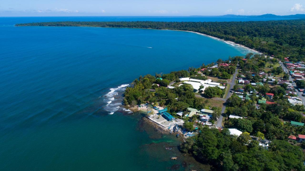 Gigi Brown Villa Frida Beachfront Puerto Viejo de Talamanca Exterior foto